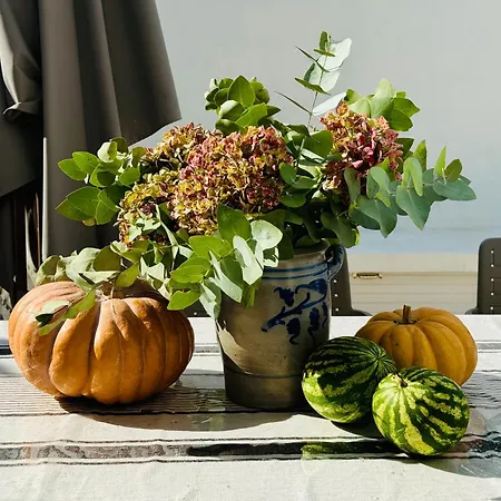 公寓 Argi Alde - Cote Lumiere 阿尔康格