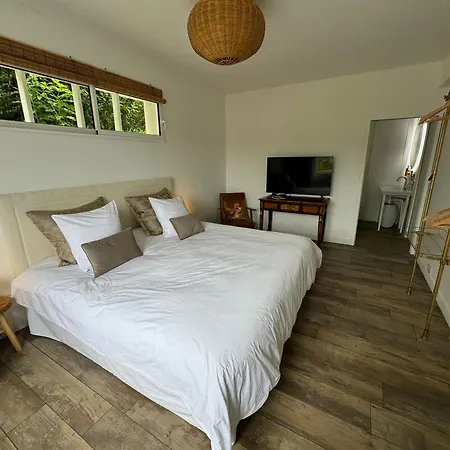 公寓 Argi Alde - Cote Lumiere 阿尔康格